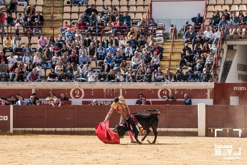 GALERÍA: Álex Mariscal derrocha oficio y maestría para llevarse por segundo año consecutivo el Bolsín Taurino de Lucena