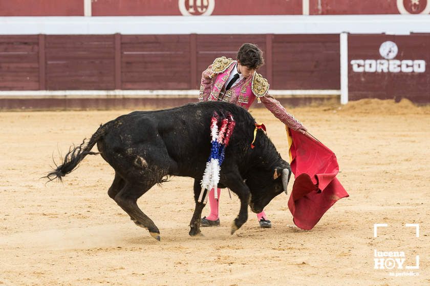 GALERÍA: Álex Mariscal derrocha oficio y maestría para llevarse por segundo año consecutivo el Bolsín Taurino de Lucena