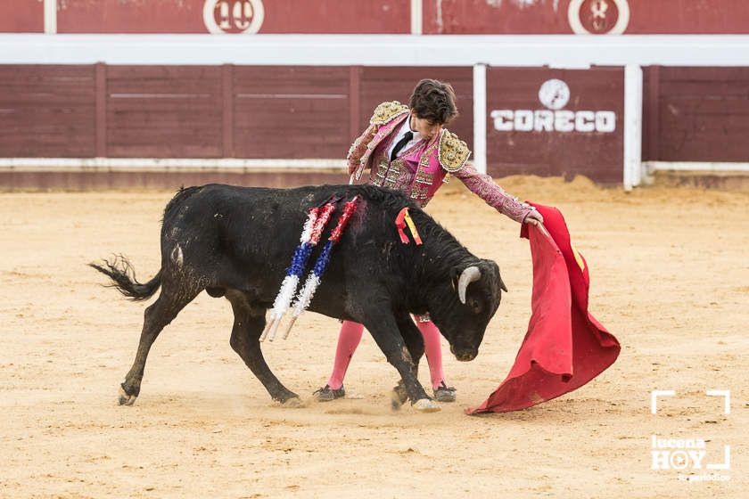 GALERÍA: Álex Mariscal derrocha oficio y maestría para llevarse por segundo año consecutivo el Bolsín Taurino de Lucena