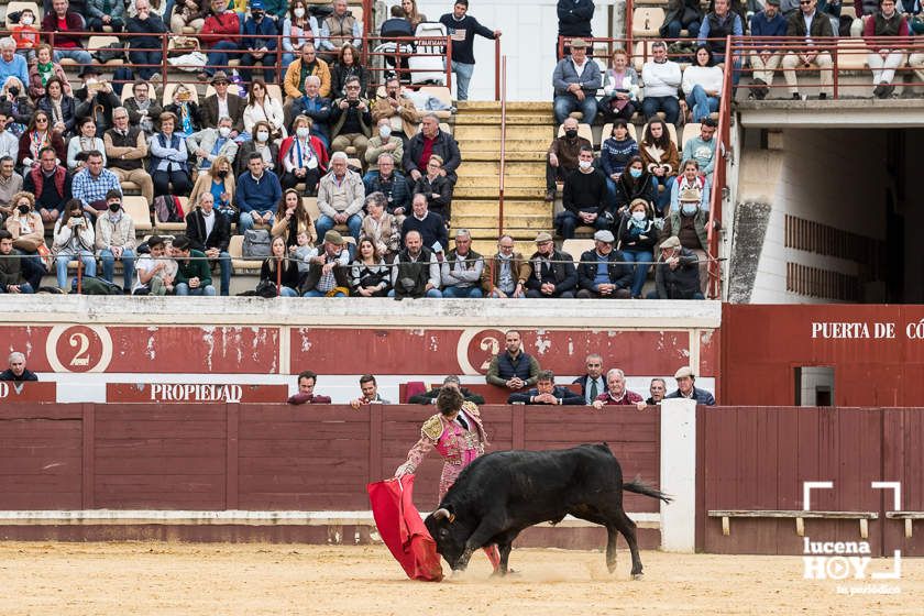 GALERÍA: Álex Mariscal derrocha oficio y maestría para llevarse por segundo año consecutivo el Bolsín Taurino de Lucena