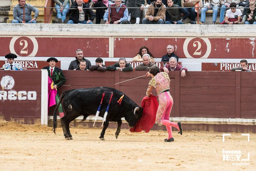 GALERÍA: Álex Mariscal derrocha oficio y maestría para llevarse por segundo año consecutivo el Bolsín Taurino de Lucena