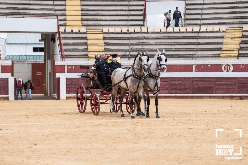 GALERÍA: Álex Mariscal derrocha oficio y maestría para llevarse por segundo año consecutivo el Bolsín Taurino de Lucena