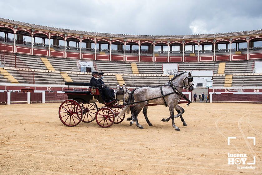 GALERÍA: Álex Mariscal derrocha oficio y maestría para llevarse por segundo año consecutivo el Bolsín Taurino de Lucena