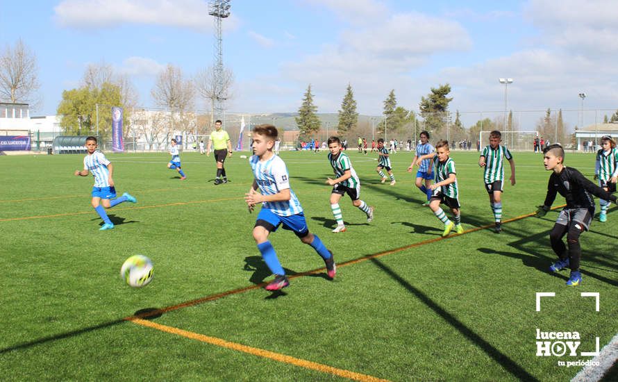 GALERÍA: Finaliza la ?Lucecor Cup' después de tres días con el mejor fútbol base de Andalucía