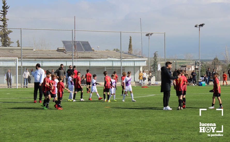 GALERÍA: Finaliza la ?Lucecor Cup' después de tres días con el mejor fútbol base de Andalucía GALERÍA: Finaliza la ?Lucecor Cup' después de tres días con el mejor fútbol base de Andalucía
