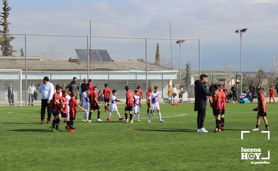 GALERÍA: Finaliza la ?Lucecor Cup' después de tres días con el mejor fútbol base de Andalucía