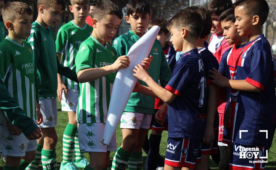 GALERÍA: Finaliza la ?Lucecor Cup' después de tres días con el mejor fútbol base de Andalucía GALERÍA: Finaliza la ?Lucecor Cup' después de tres días con el mejor fútbol base de Andalucía