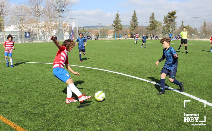 GALERÍA: Finaliza la ?Lucecor Cup' después de tres días con el mejor fútbol base de Andalucía