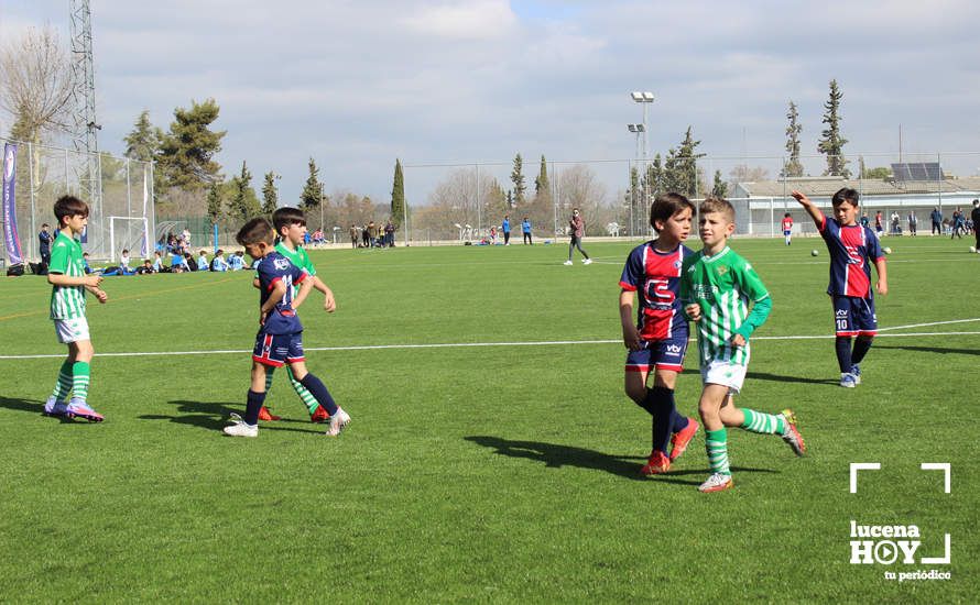 GALERÍA: Finaliza la ?Lucecor Cup' después de tres días con el mejor fútbol base de Andalucía GALERÍA: Finaliza la ?Lucecor Cup' después de tres días con el mejor fútbol base de Andalucía