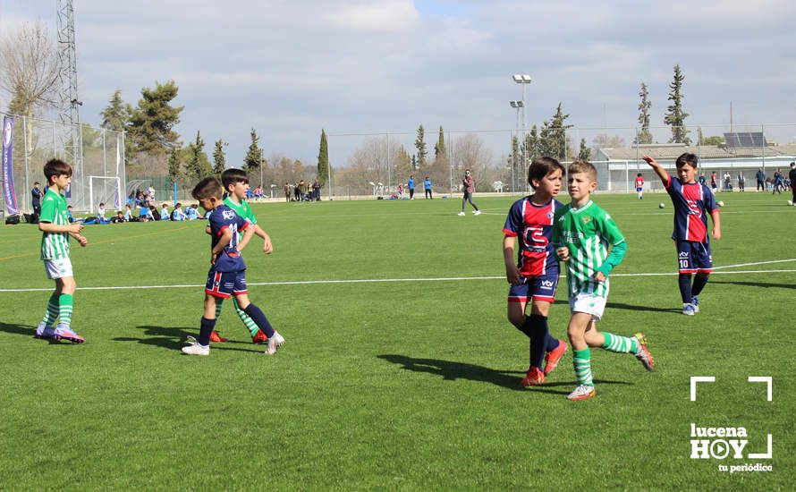 GALERÍA: Finaliza la ?Lucecor Cup' después de tres días con el mejor fútbol base de Andalucía