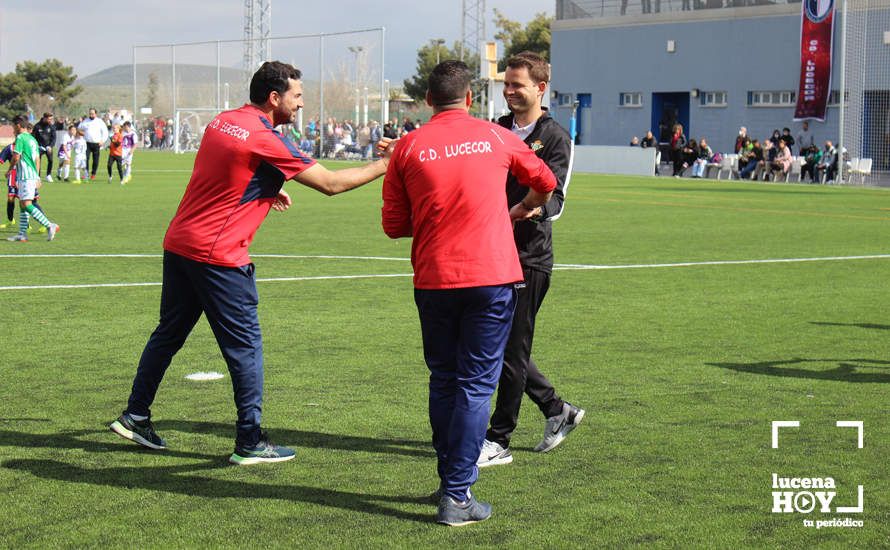 GALERÍA: Finaliza la ?Lucecor Cup' después de tres días con el mejor fútbol base de Andalucía