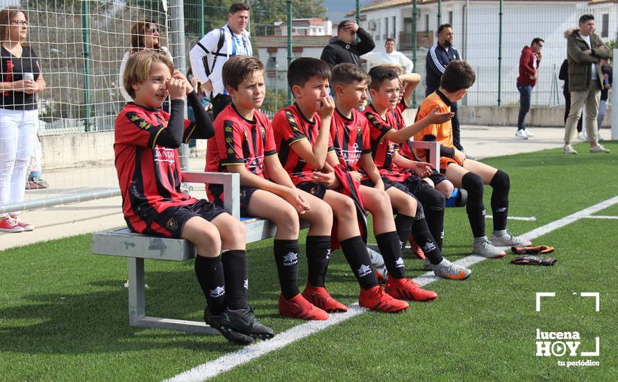 GALERÍA: Finaliza la ?Lucecor Cup' después de tres días con el mejor fútbol base de Andalucía