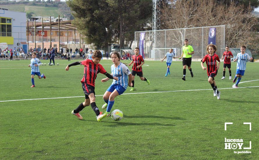GALERÍA: Finaliza la ?Lucecor Cup' después de tres días con el mejor fútbol base de Andalucía GALERÍA: Finaliza la ?Lucecor Cup' después de tres días con el mejor fútbol base de Andalucía