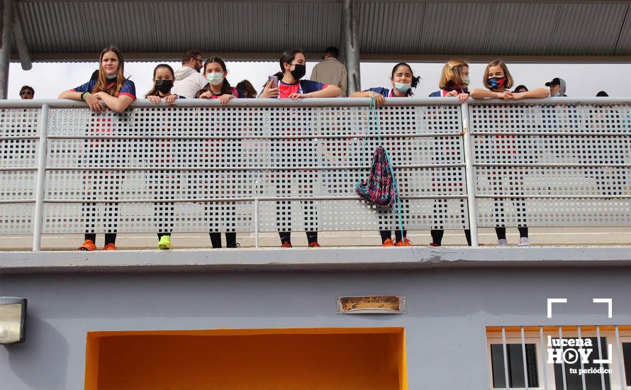 GALERÍA: Finaliza la ?Lucecor Cup' después de tres días con el mejor fútbol base de Andalucía GALERÍA: Finaliza la ?Lucecor Cup' después de tres días con el mejor fútbol base de Andalucía