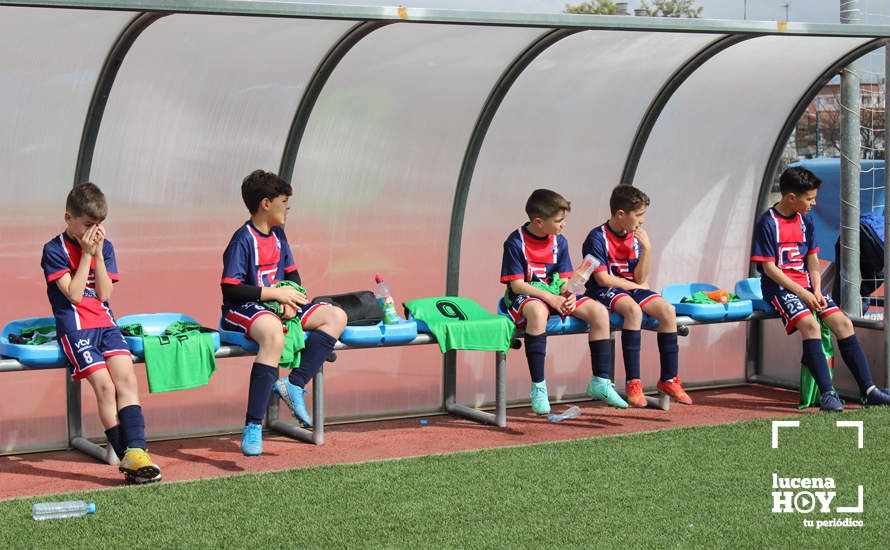 GALERÍA: Finaliza la ?Lucecor Cup' después de tres días con el mejor fútbol base de Andalucía GALERÍA: Finaliza la ?Lucecor Cup' después de tres días con el mejor fútbol base de Andalucía