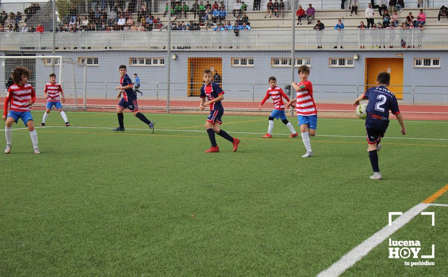 GALERÍA: Finaliza la ?Lucecor Cup' después de tres días con el mejor fútbol base de Andalucía