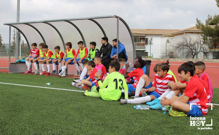 GALERÍA: Finaliza la ?Lucecor Cup' después de tres días con el mejor fútbol base de Andalucía