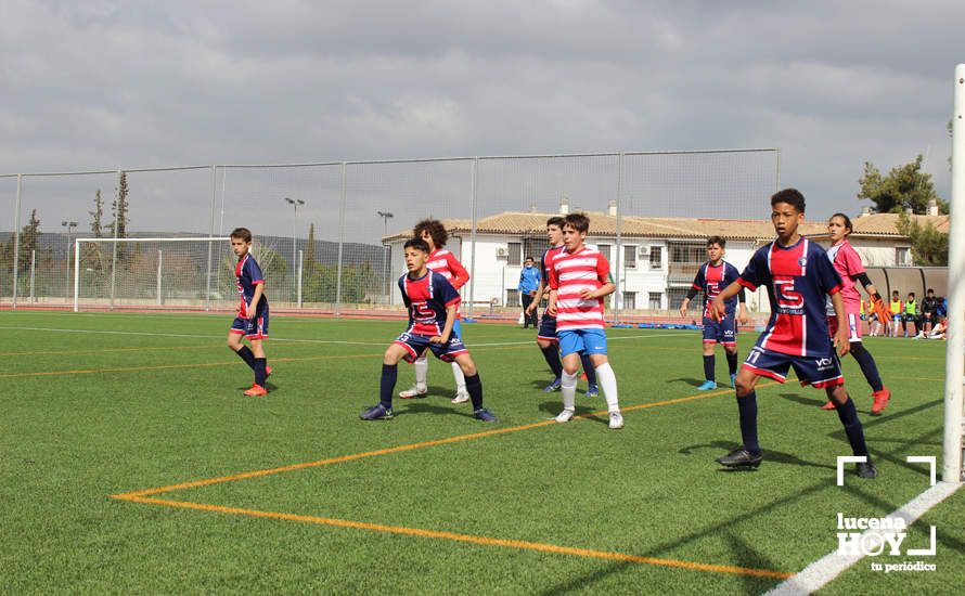 GALERÍA: Finaliza la ?Lucecor Cup' después de tres días con el mejor fútbol base de Andalucía