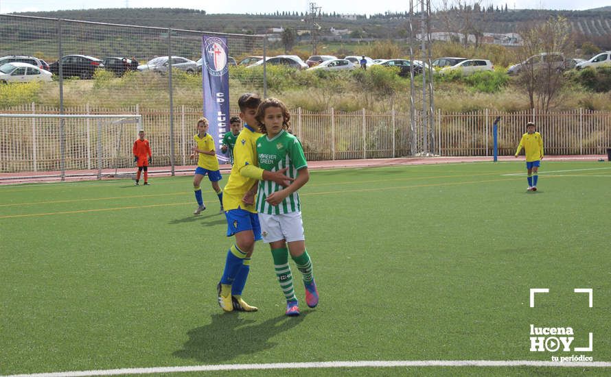 GALERÍA: Finaliza la ?Lucecor Cup' después de tres días con el mejor fútbol base de Andalucía GALERÍA: Finaliza la ?Lucecor Cup' después de tres días con el mejor fútbol base de Andalucía