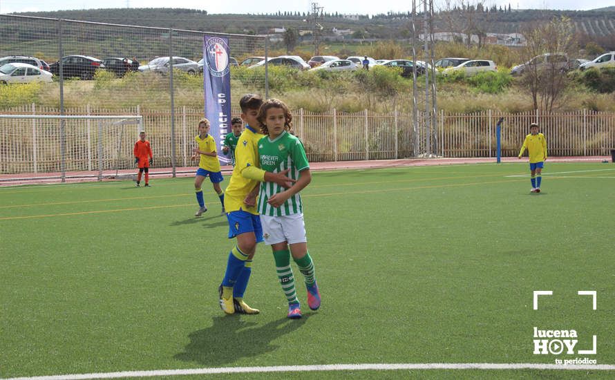 GALERÍA: Finaliza la ?Lucecor Cup' después de tres días con el mejor fútbol base de Andalucía