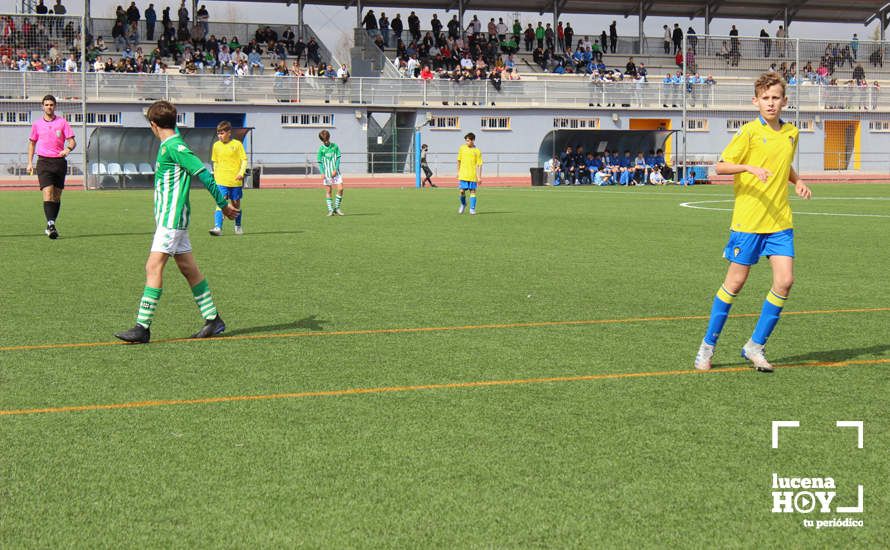 GALERÍA: Finaliza la ?Lucecor Cup' después de tres días con el mejor fútbol base de Andalucía GALERÍA: Finaliza la ?Lucecor Cup' después de tres días con el mejor fútbol base de Andalucía