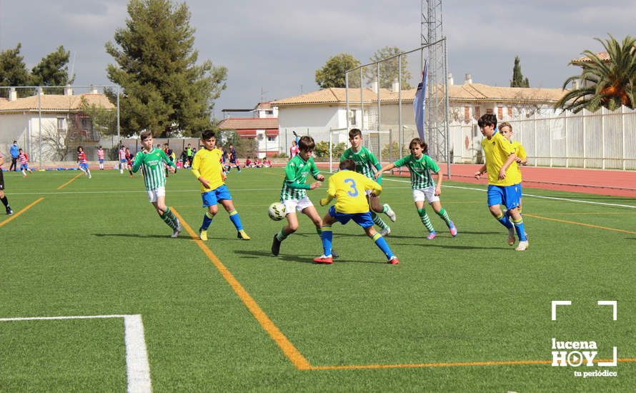 GALERÍA: Finaliza la ?Lucecor Cup' después de tres días con el mejor fútbol base de Andalucía