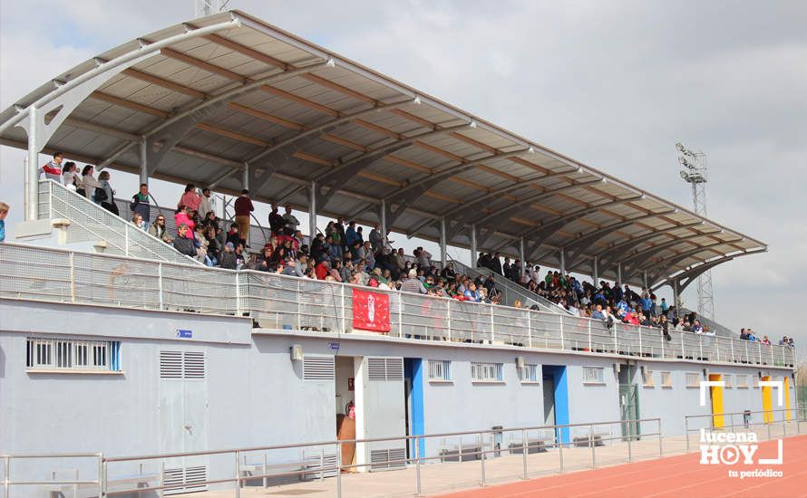 GALERÍA: Finaliza la ?Lucecor Cup' después de tres días con el mejor fútbol base de Andalucía