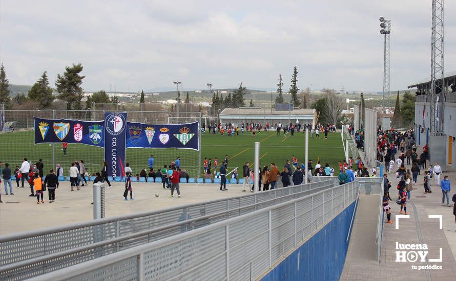 GALERÍA: Finaliza la ?Lucecor Cup' después de tres días con el mejor fútbol base de Andalucía