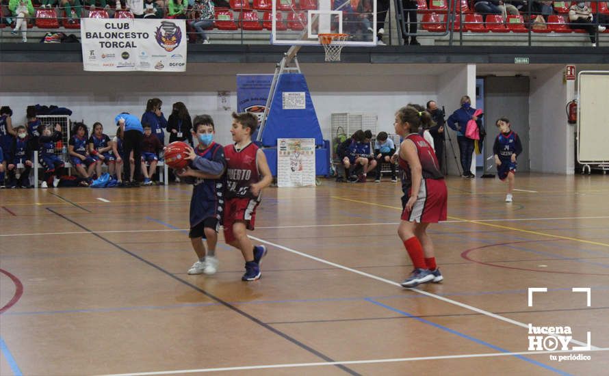 GALERÍA: El I Torneo CBL Día de Andalucía deja en el Pabellón de Deportes una magnífica jornada de baloncesto GALERÍA: El I Torneo CBL Día de Andalucía deja en el Pabellón de Deportes una magnífica jornada de baloncesto