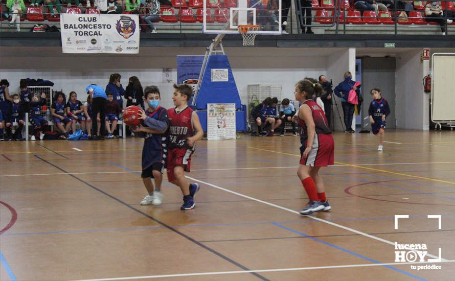 GALERÍA: El I Torneo CBL Día de Andalucía deja en el Pabellón de Deportes una magnífica jornada de baloncesto