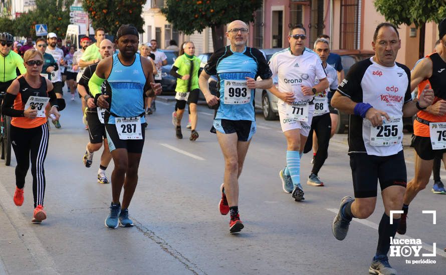 GALERÍA I: Las fotos de la VIII Media Maratón de Lucena