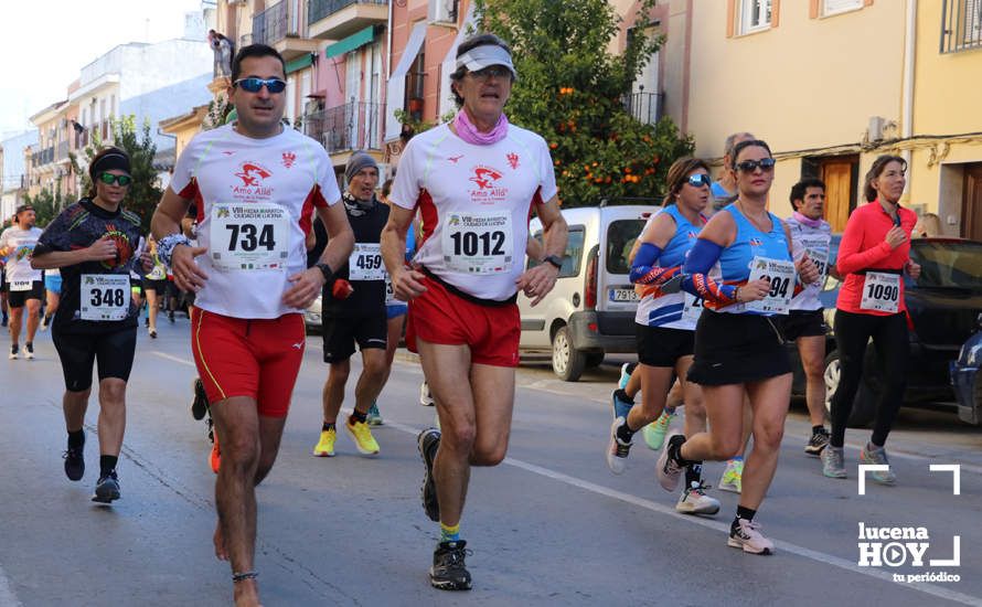 GALERÍA I: Las fotos de la VIII Media Maratón de Lucena