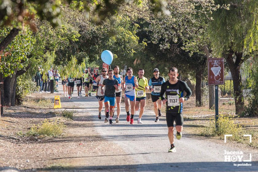 GALERÍA II: Las fotos de la VIII Media Maratón de Lucena.