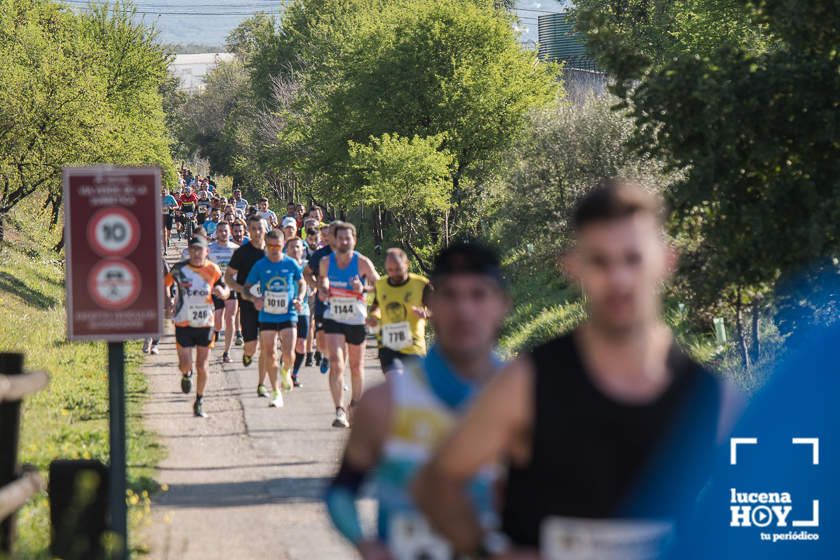 GALERÍA II: Las fotos de la VIII Media Maratón de Lucena.