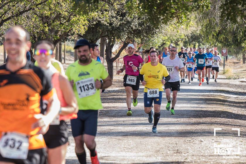 GALERÍA II: Las fotos de la VIII Media Maratón de Lucena.