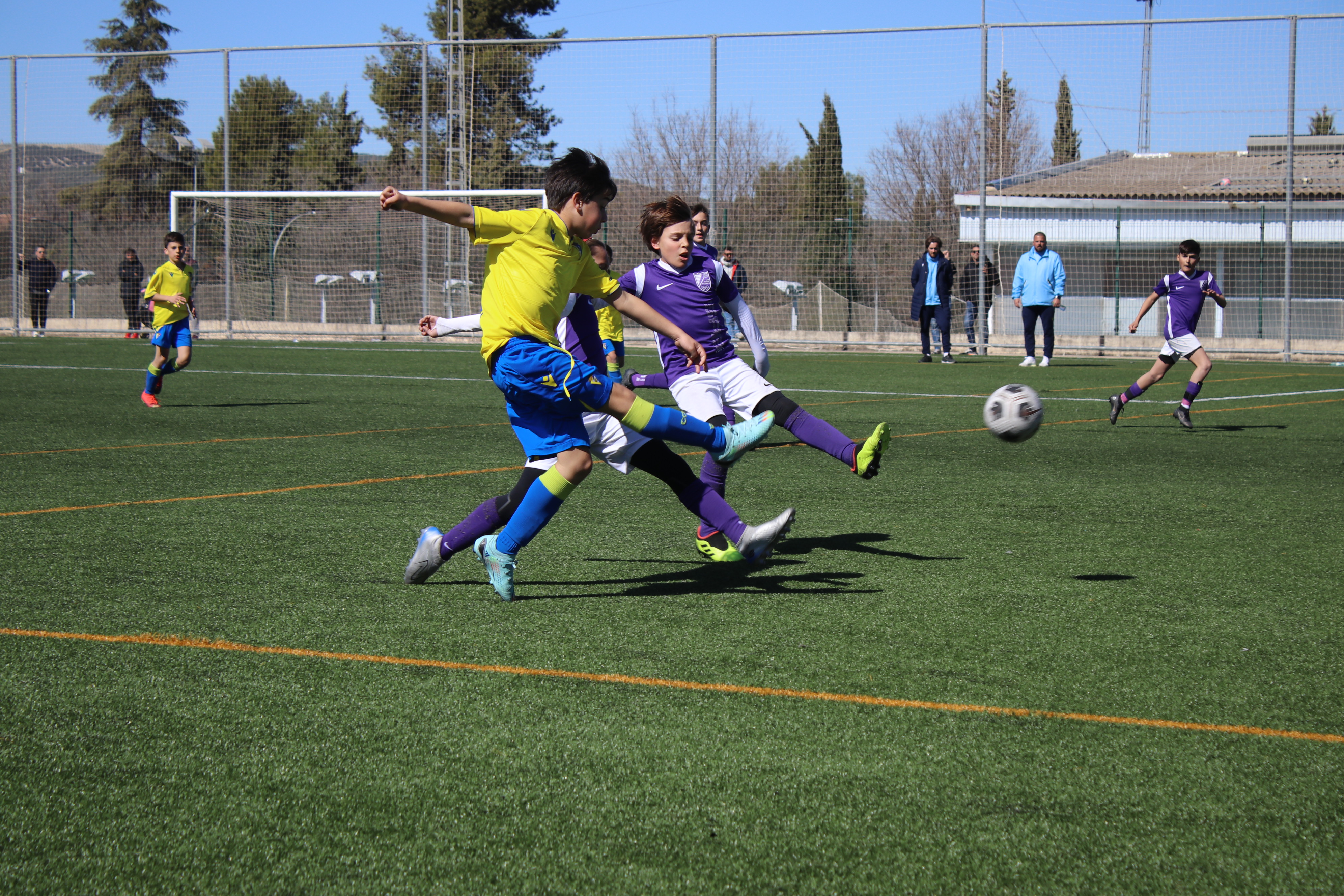 Lucecor Cup
