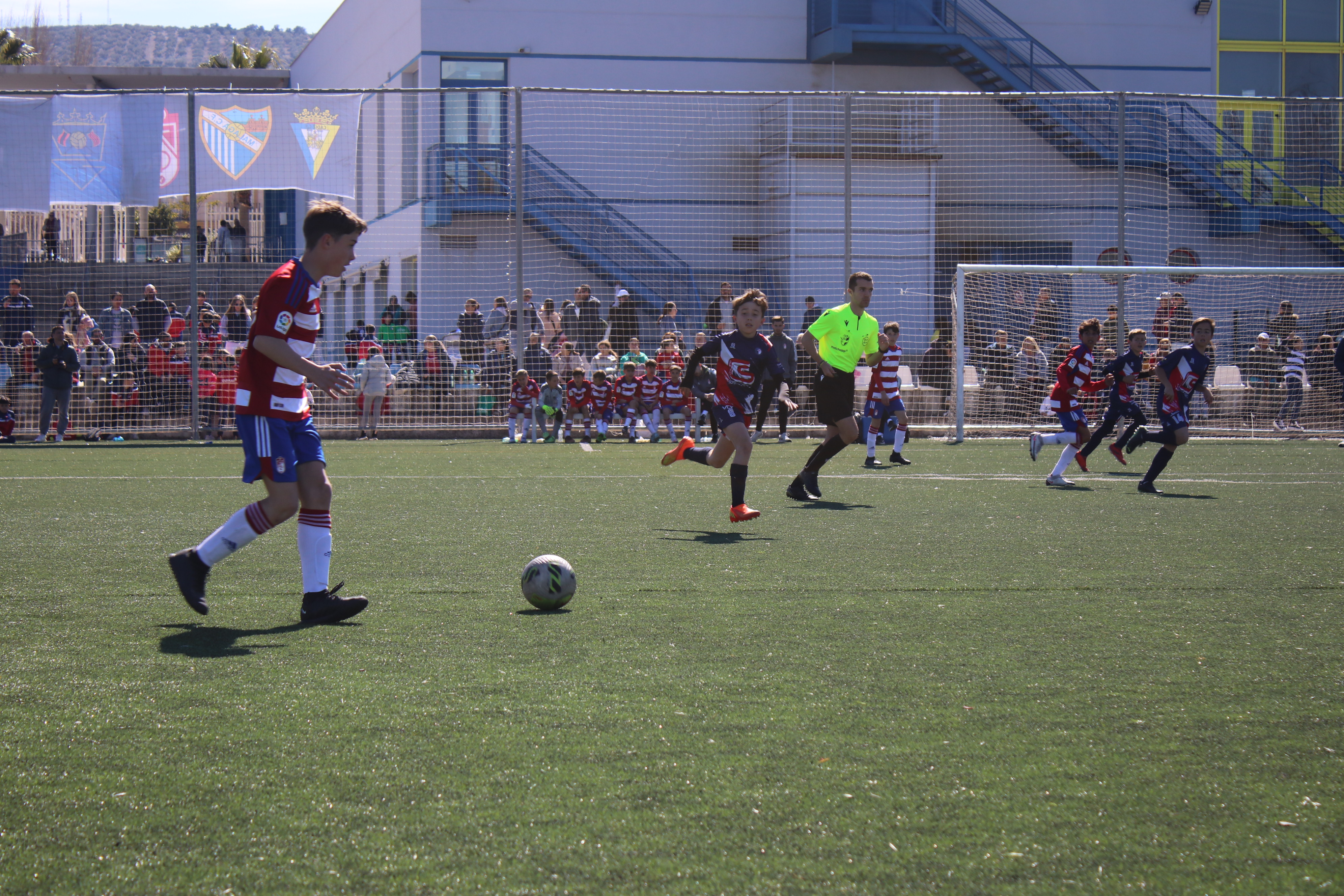 Lucecor Cup