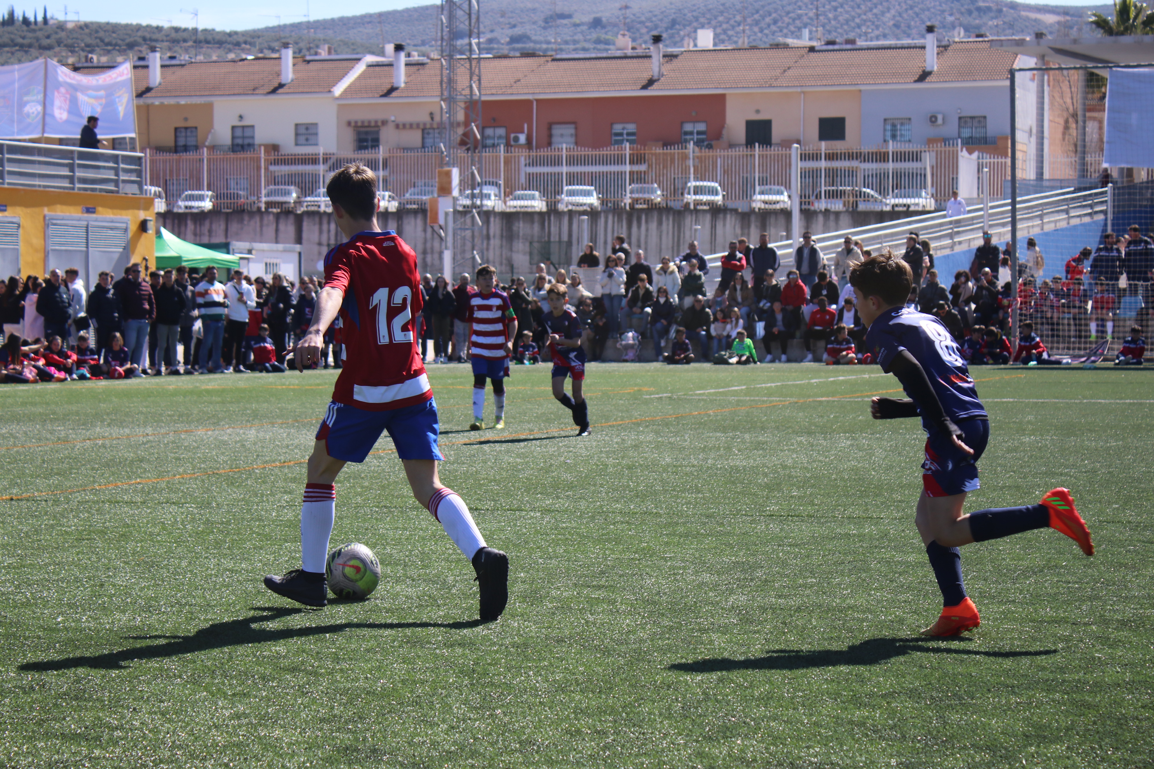Lucecor Cup