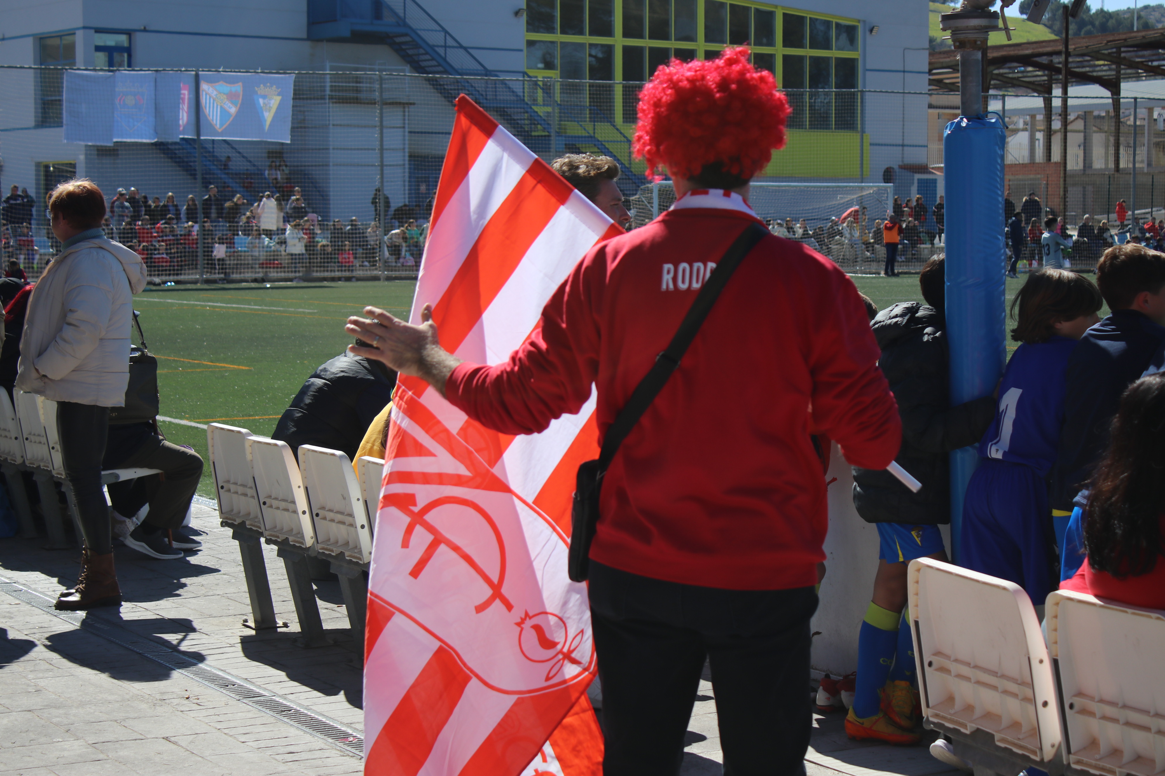Lucecor Cup