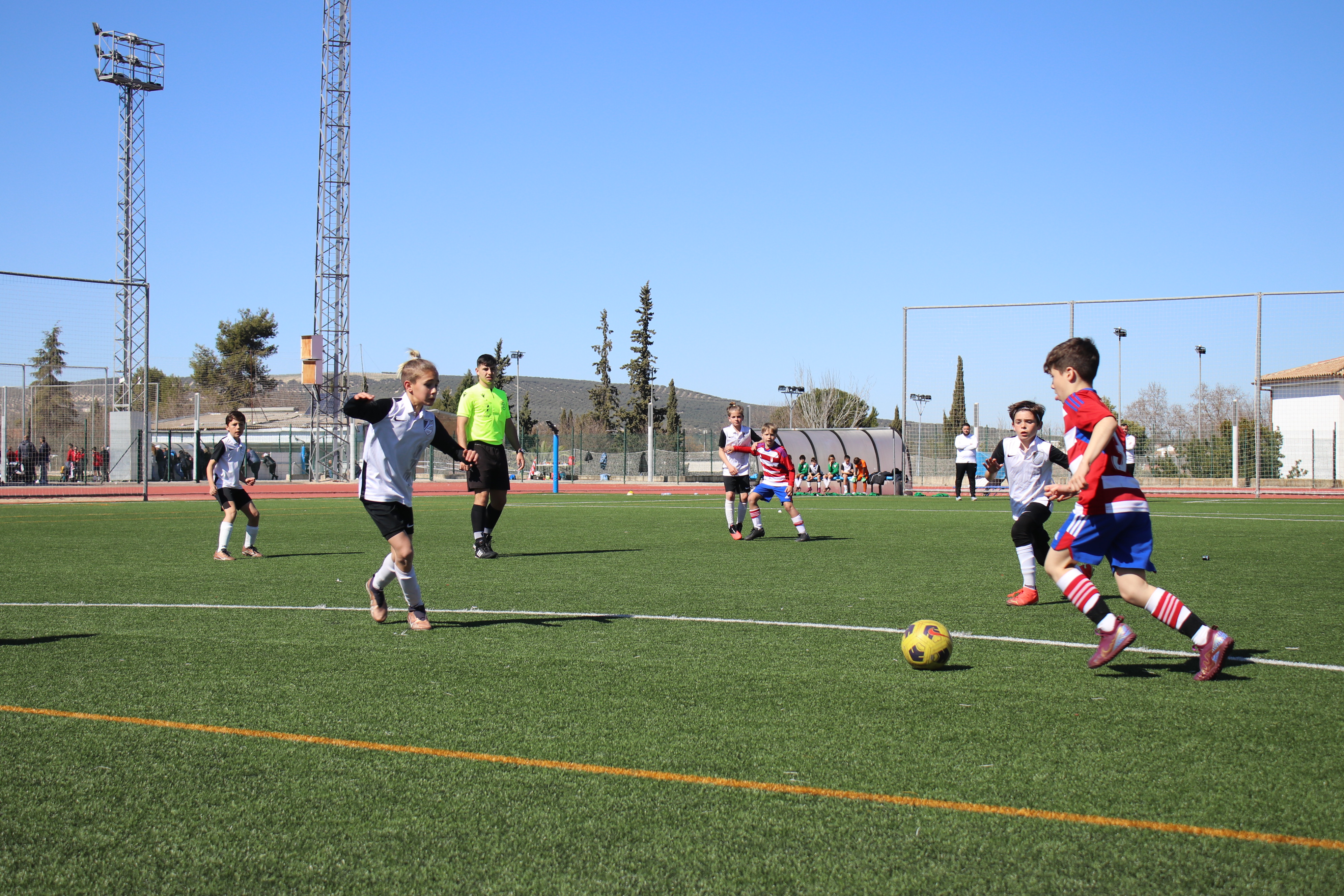 Lucecor Cup