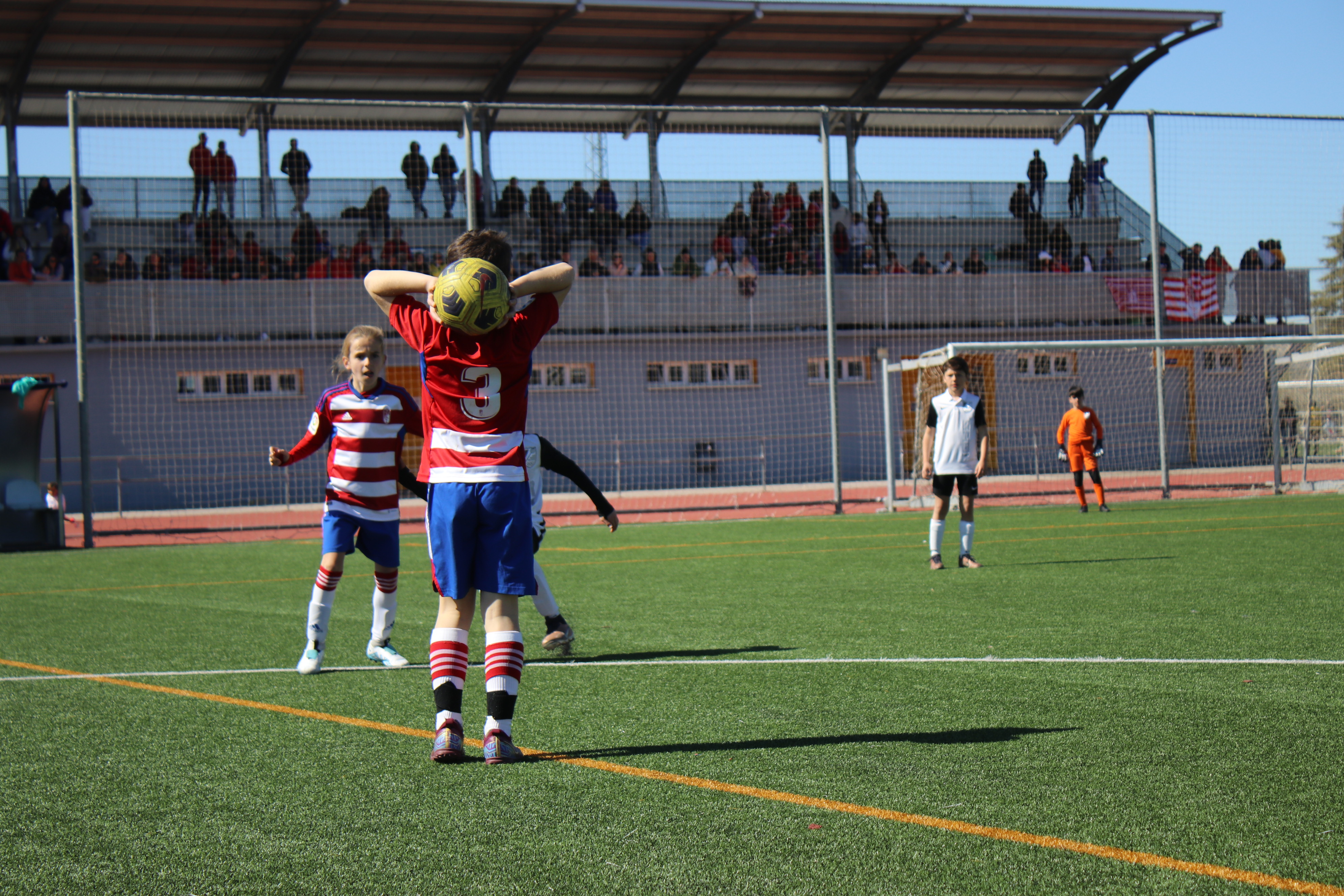 Lucecor Cup