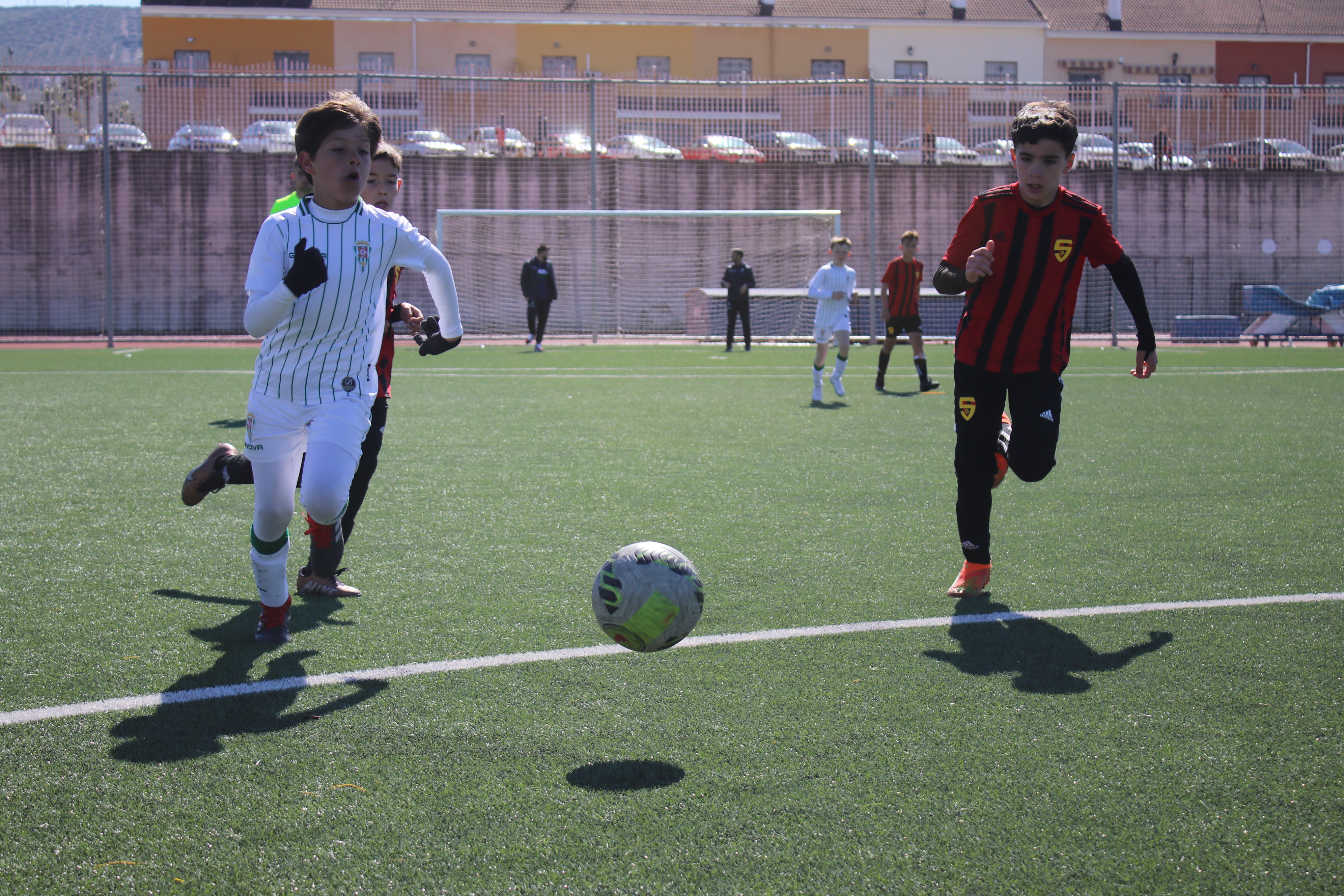 Lucecor Cup