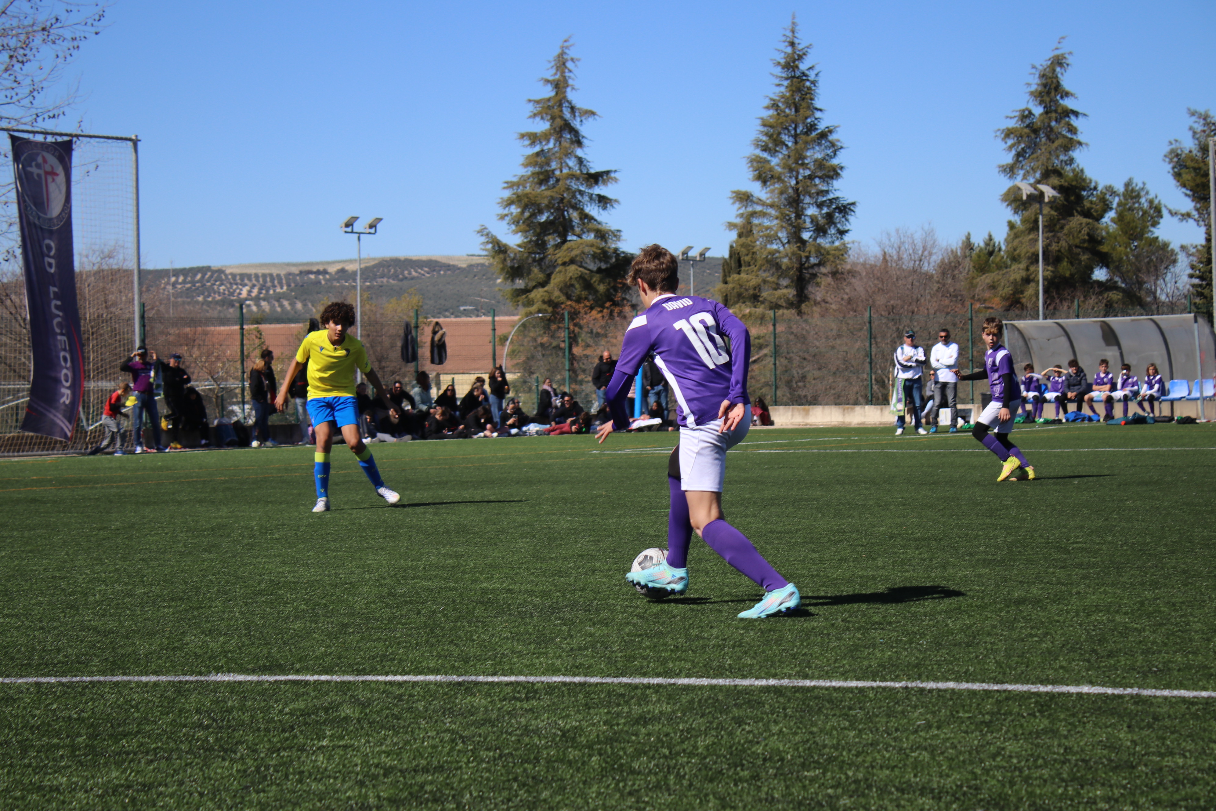 Lucecor Cup