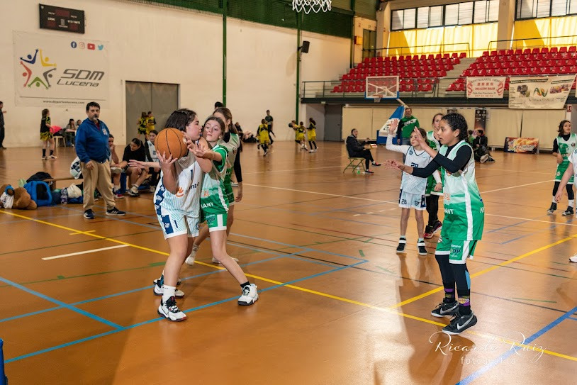 II Torneo Interprovincial "Día de Andalucía" de Baloncesto II Torneo Interprovincial "Día de Andalucía" de Baloncesto