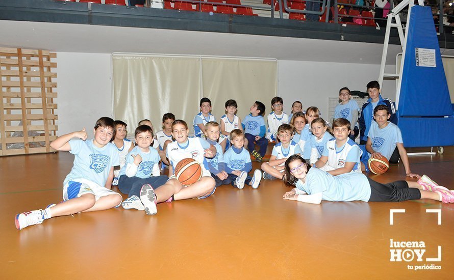 basket6